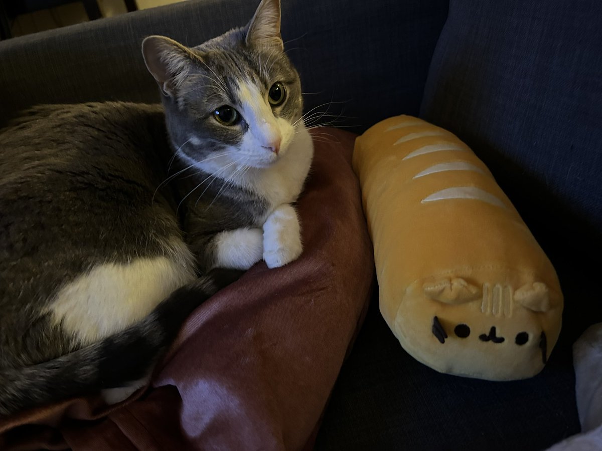 cosmohotdog's tweet photo. two types of loaf https://t.co/Juew0Ww0nd