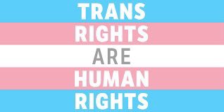 Happy #TransDayOfVisibility! Much love to all of my trans family and friends. I see you, I love you and I support you. ❤️