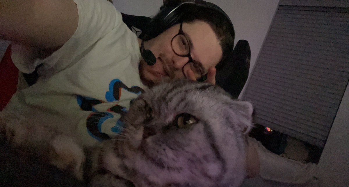 haznoodlë tweet media