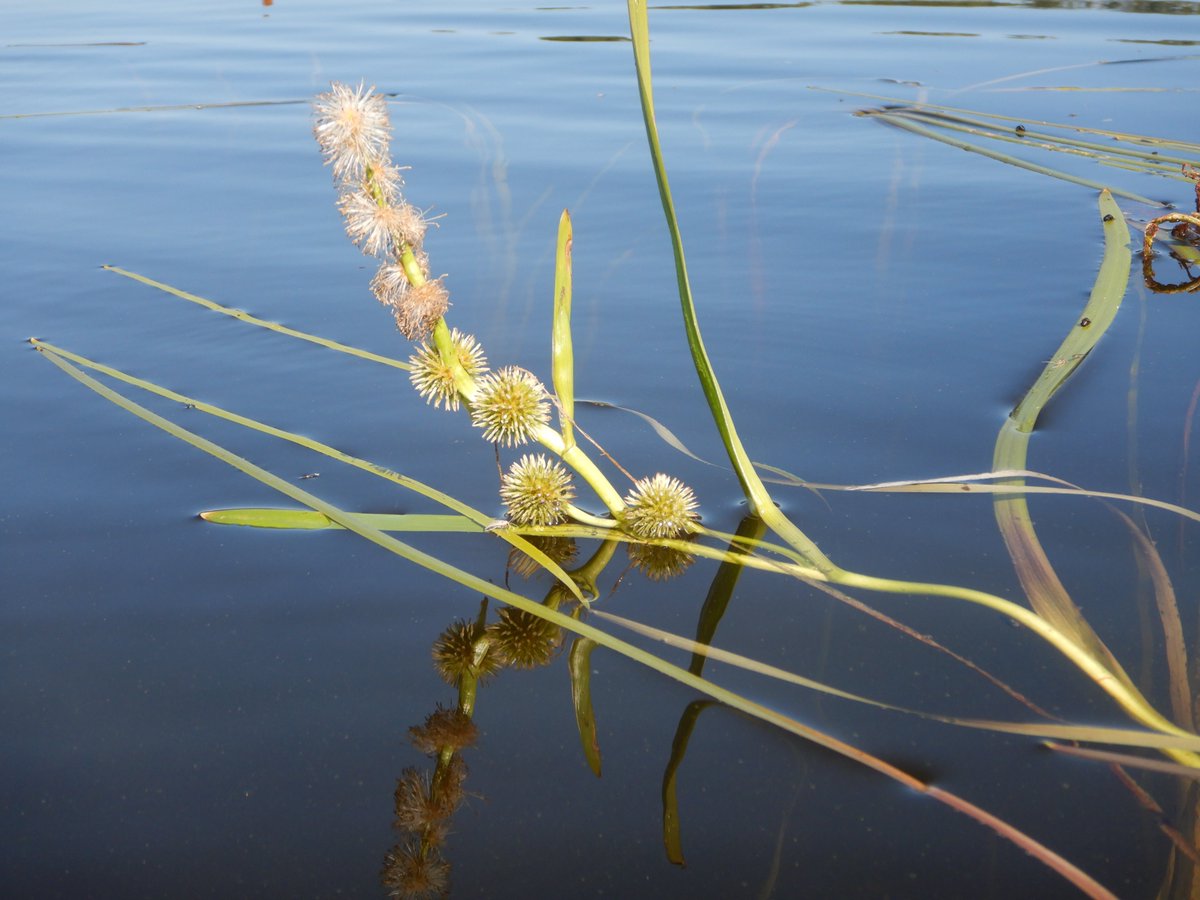 EPA Catchments tweet media