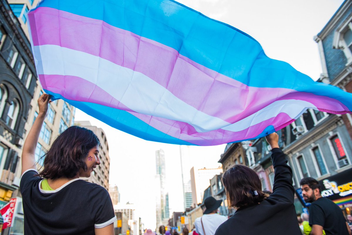 Today is International Transgender Day of Visibility. Unprecedented wave of anti-LGBTQ bills making their way through state houses across the US.

Make a donation to organizations such as the <a href="/ACLU/">ACLU</a> and help stop the attacks
#fundraising #charity #LGBTQIA lnkd.in/gifEzJnt
