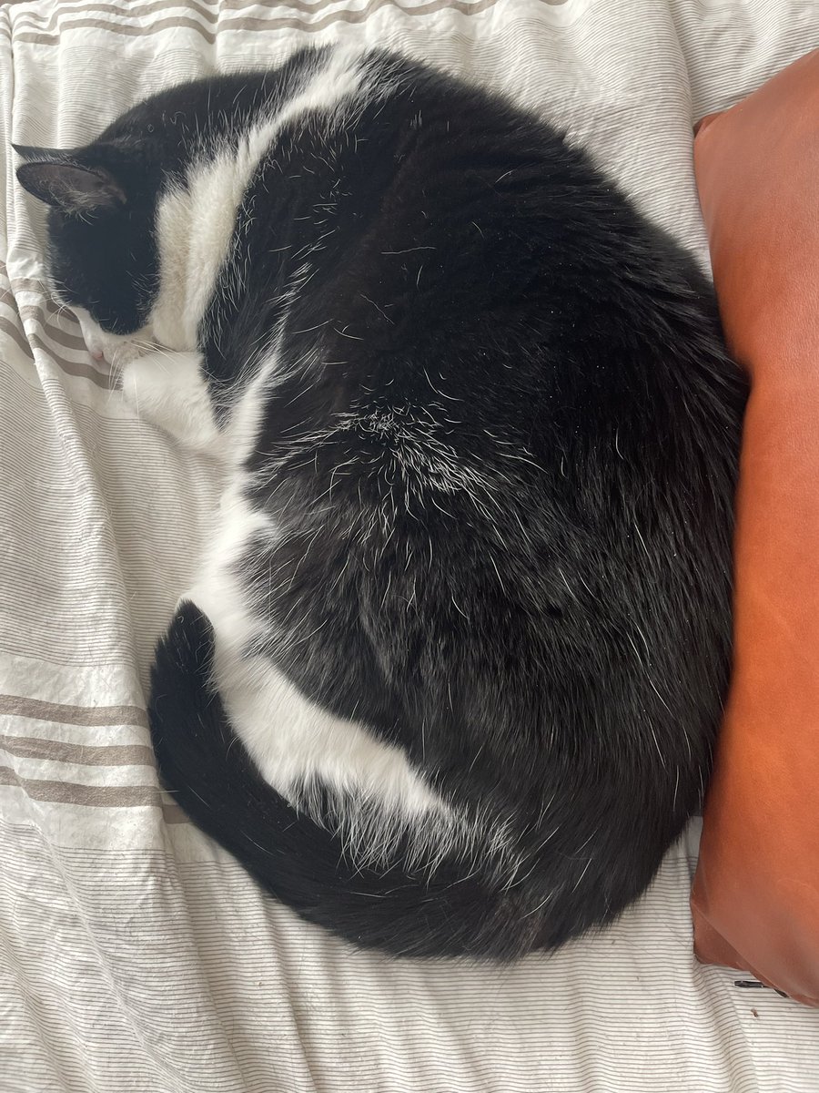 jackaaalack's tweet photo. Loaf on a Friday morning https://t.co/mFbqfBnYHE