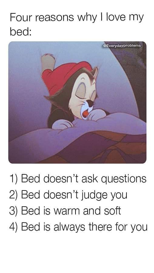 ScraftonJayde's tweet photo. Love my bed so much. https://t.co/jFuA9bEVm2