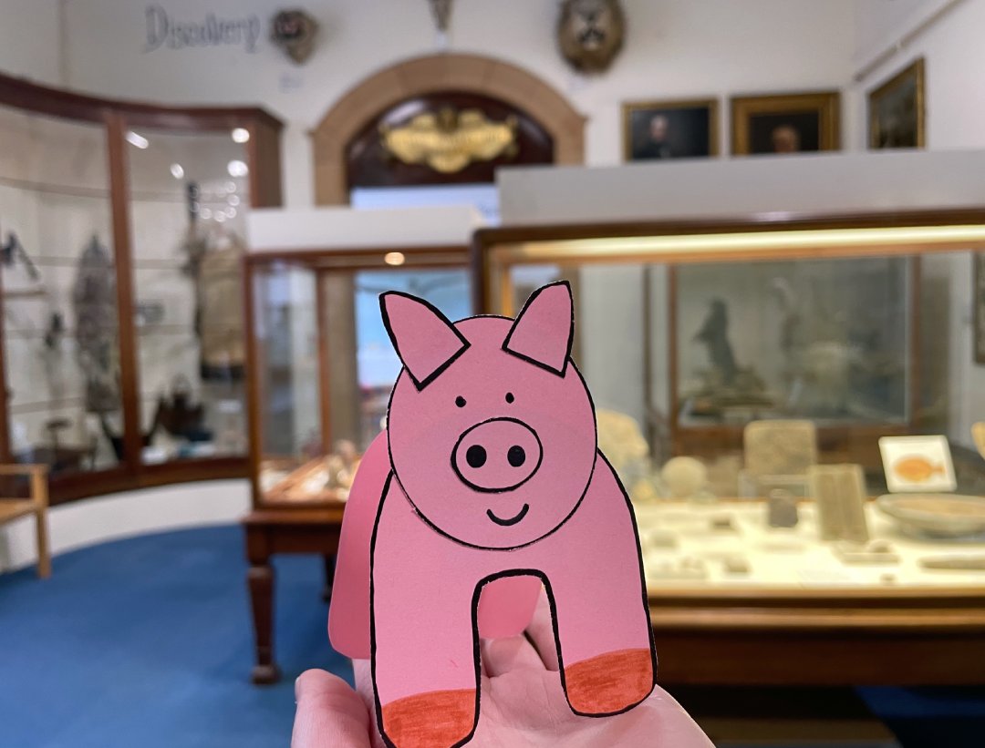 Museums Worcestershire on Twitter "You may hear a few oinks at