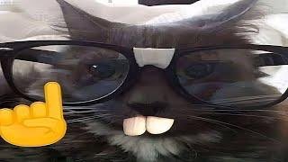 TAKABTM3's tweet photo. @BrutusRex_ https://t.co/Xz7IZvS2rV