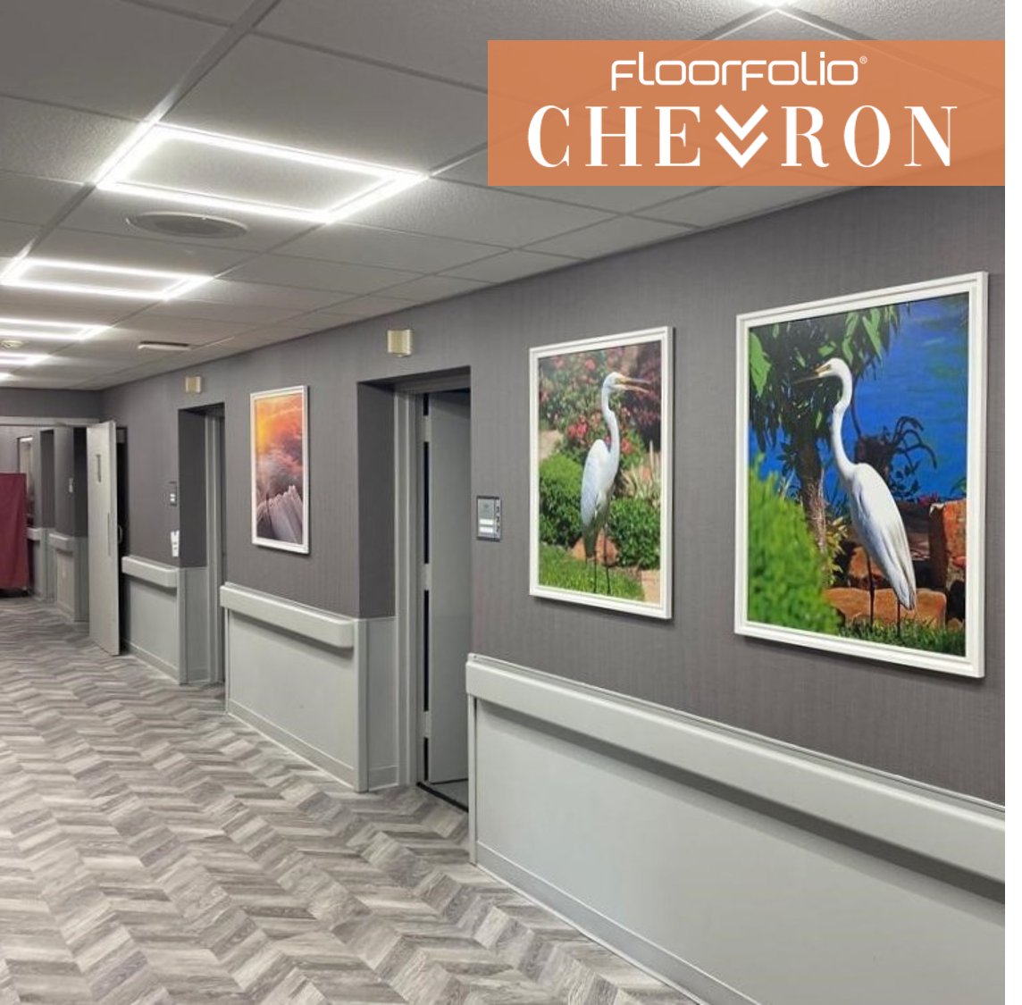 FloorFolio's tweet photo. See this Instagram post by @floorfolio https://t.co/6NHHrh0Dz6 

#chevron #flooring #floorfolio #designerlife https://t.co/Y0Lqlf01QU