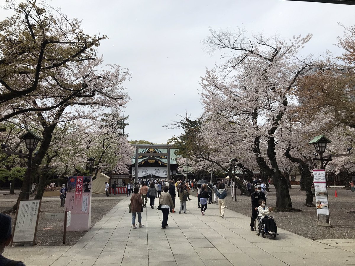 せっかくなんで、千鳥ヶ淵回って靖国神社参って天麩羅食って帰ってきた

ただいま 