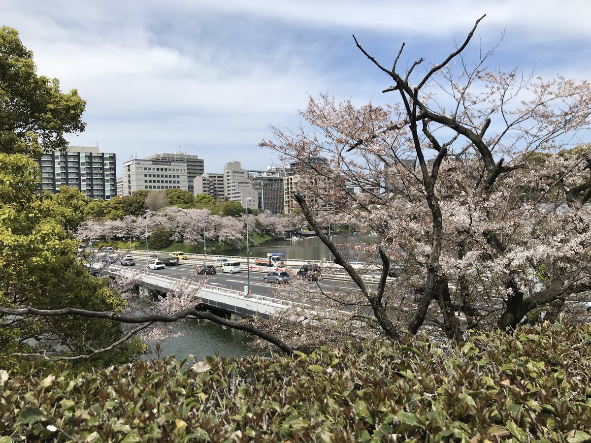 せっかくなんで、千鳥ヶ淵回って靖国神社参って天麩羅食って帰ってきた

ただいま 