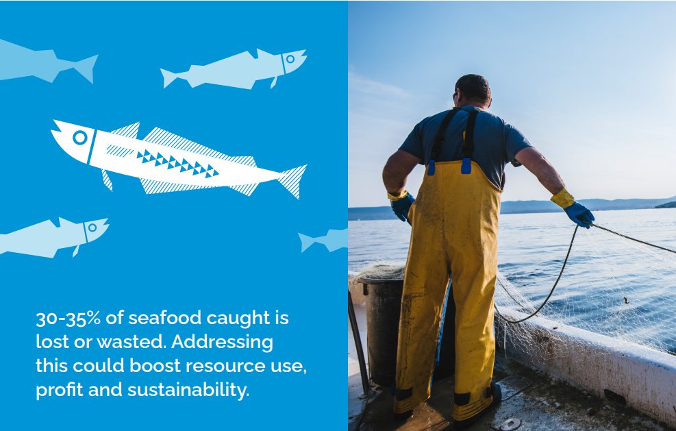 Globally, 30-35% of caught #seafood is lost or wasted in #fisheries & #aquaculture. Read our new report, Maximizing Seafood By-Product Utilization, setting out how to utilize discarded #fish heads & viscera left at sea. 🐟🌊 www3.weforum.org/docs/WEF_Maxim… #OceanAction #BlueFoods #SDG14+