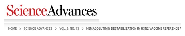 Influenza H3N2 viruses are often poorly matched by the seasonal flu vaccine due to destabilizing mutations in hemagglutinin. Read the <a href="/ScienceAdvances/">Science Advances</a> study to discover how stabilizing this protein may improve vaccines and pandemic predictions. bit.ly/40rDFhI