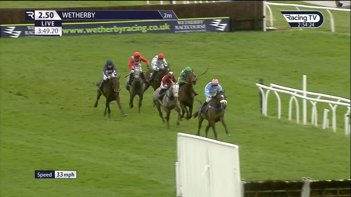 Racing TV on Twitter "RT WetherbyRaces One for the future. Cruz