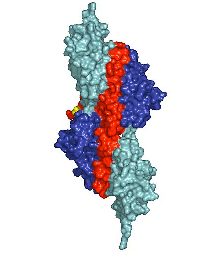QuickLearning's tweet photo. The longest word in English is 189,819 letters long and would take over three hours to pronounce! It's the chemical name for the largest known protein, "Titin." 🤯🧬📚 #Vocabulary #LanguageLearning #GrammarFacts #quicklerning https://t.co/Vq2aYbQVwW