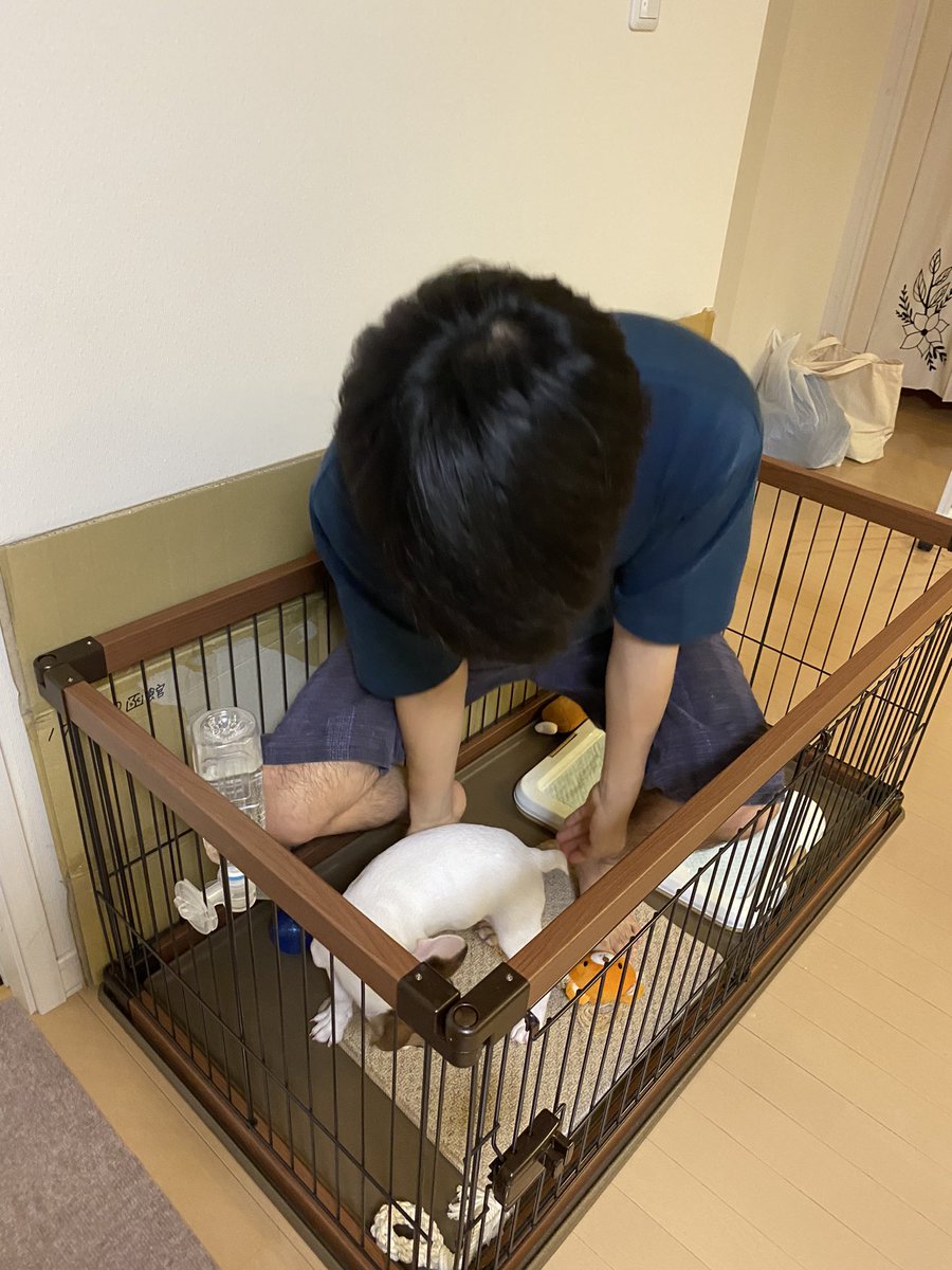 cona_bull's tweet photo. なんでいちいちオマエさんも入ってくるんだ…？🐶 https://t.co/95btSY1ktm