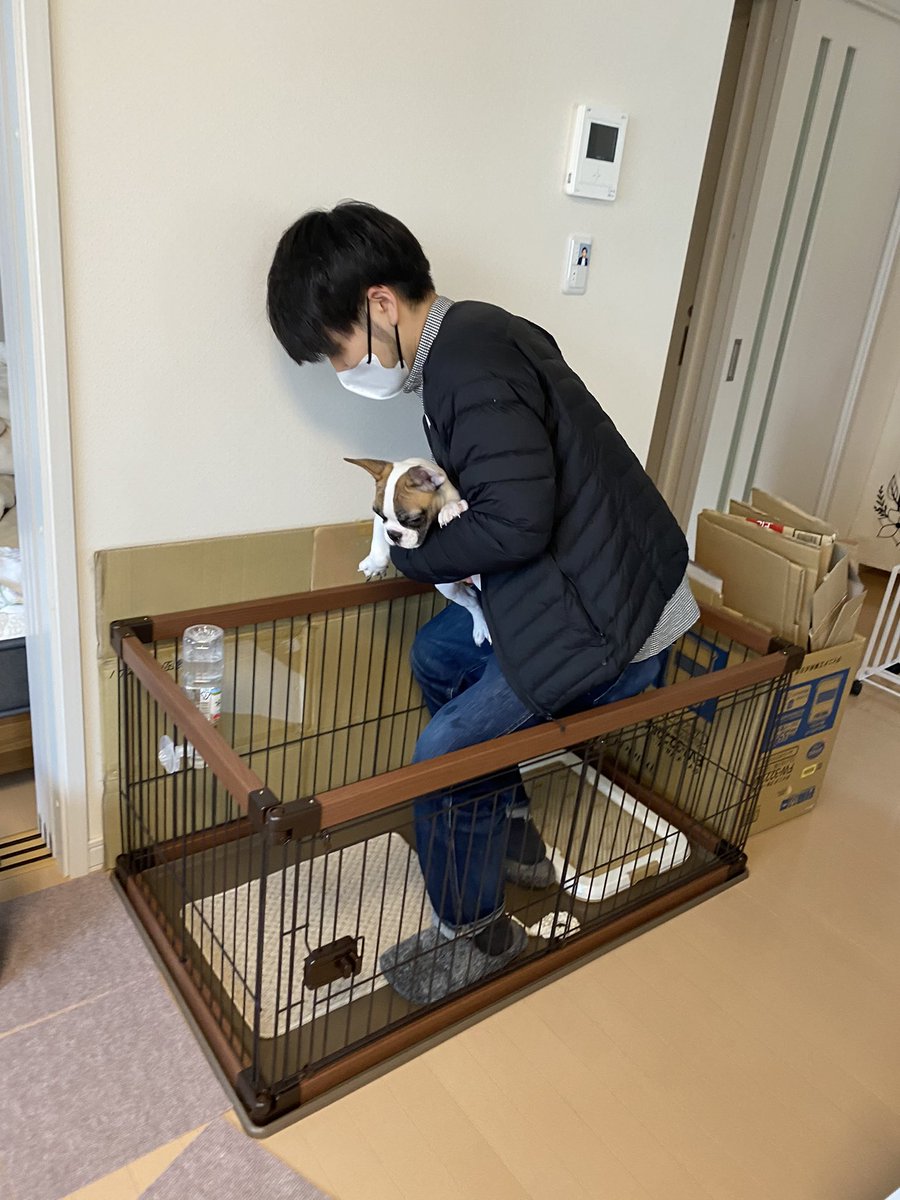 cona_bull's tweet photo. なんでいちいちオマエさんも入ってくるんだ…？🐶 https://t.co/95btSY1ktm