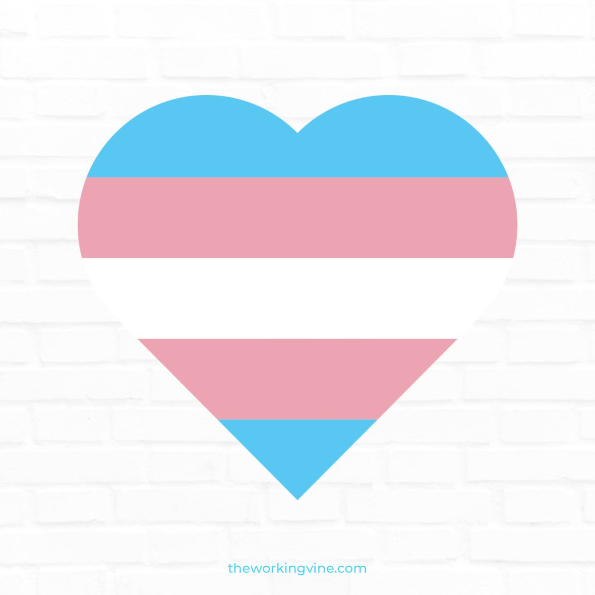 March 31st International Day of Transgender Visibility  🏳️‍⚧️
To our transgender and non-binary friends and family all over the globe, we see you, we hear you, we are allies!

#transgenderrights  #internationaldayoftransgendervisibility #weareallies