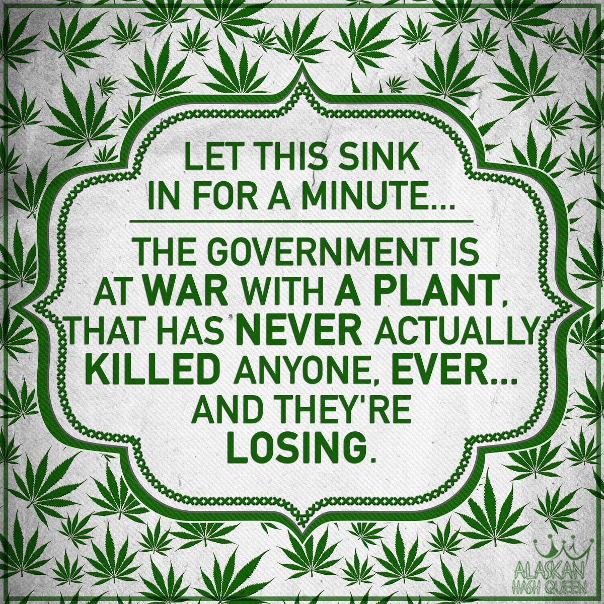 cannaworldsite's tweet photo. https://t.co/yk0cS10GGY