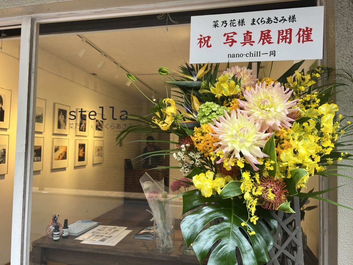 通常 1本タイプ 菜乃花 × まくらあさみ 写真展 stella zine - 通販