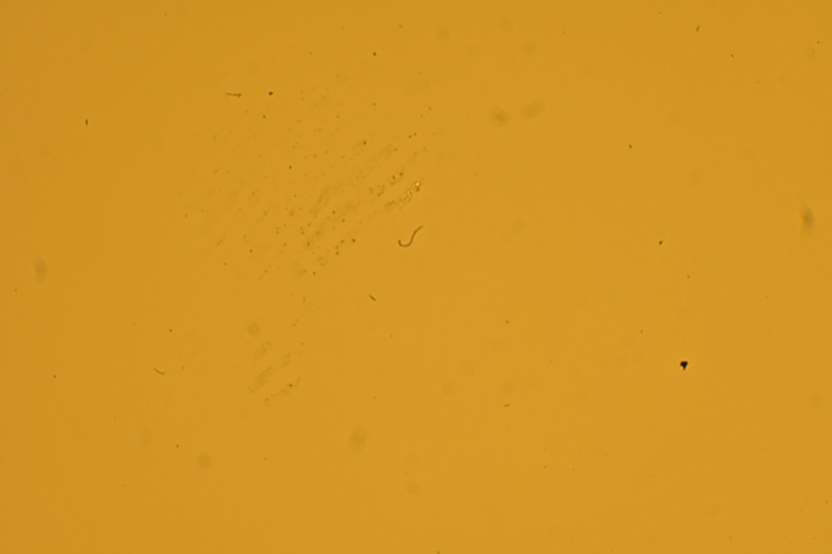 Ffordes Photography tweet media