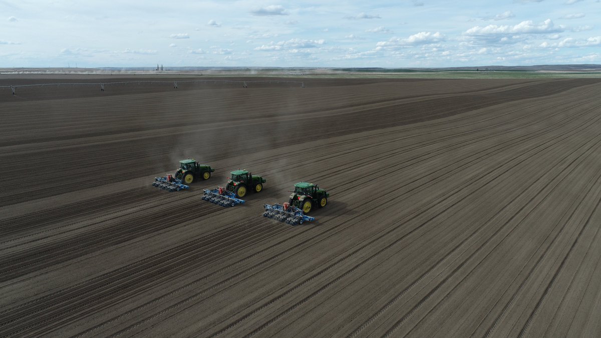 monosemusa's tweet photo. Making quick work of a field with three 12 row MS Version D stacker using SeedStar 2.   #mostimportantpass #Onions #plant23 #agriculture https://t.co/e2w17C4MYE