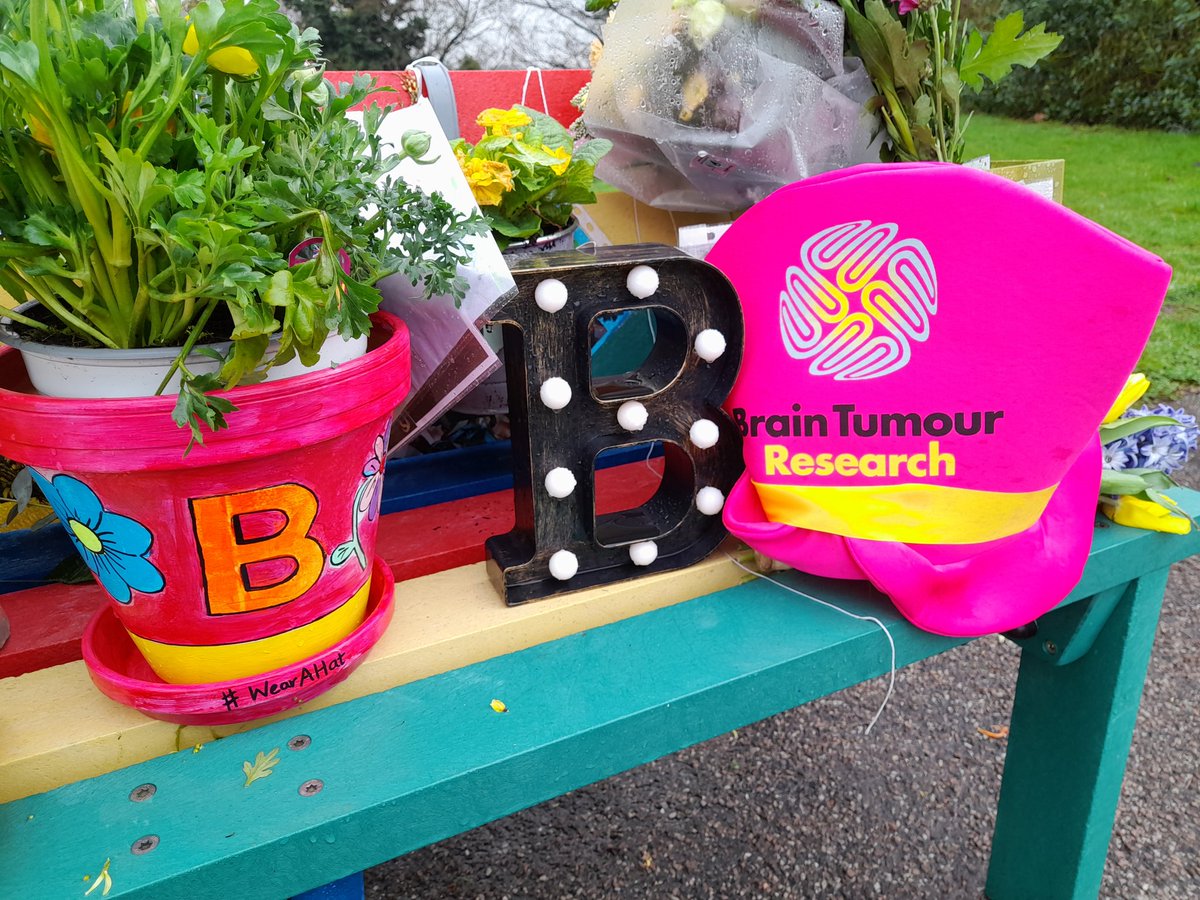 joliejolie36's tweet photo. Supporting #WearAHatDay for @braintumourrsch in honour and adoring memory of our hat loving boy Benny 🎗 @DGascoyne_BTR https://t.co/JGPKu7ywKb