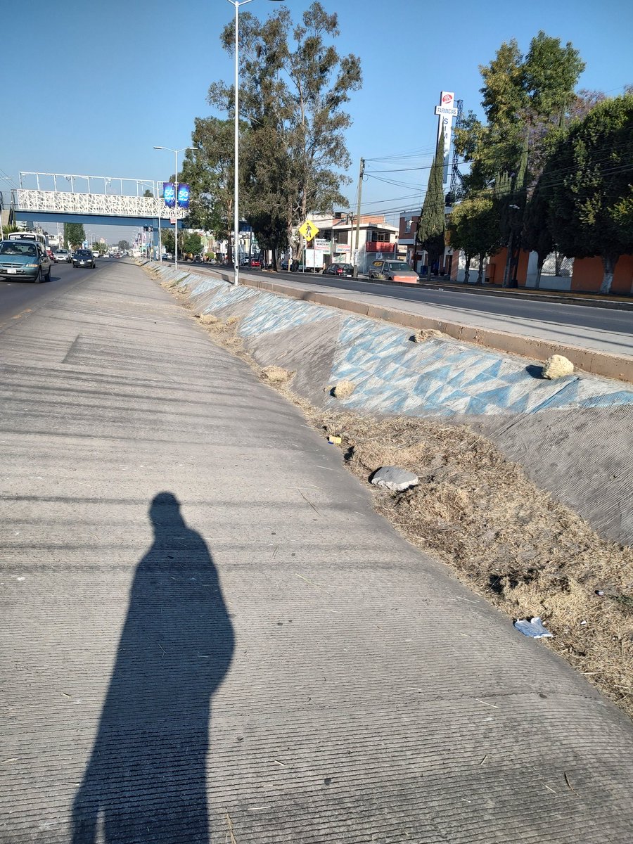 pabvlosaga's tweet photo. @eduardorivera01 @HectorASanchezM @felipevg_22 @carlmontiels @tavoconstantini @CCEPuebla @AleCanedoP @UPAEP @fercortes82 @BUAPoficial @UAnahuacPuebla Así no vamos por buen rumbo, solo "cortaron" la hierba, en lugar de retirarlo, fotos de hoy 31/03 en federal a Tehuacán, desde el entronque hasta Soriana Amalucan, por favor. https://t.co/PcJvQUHcBd