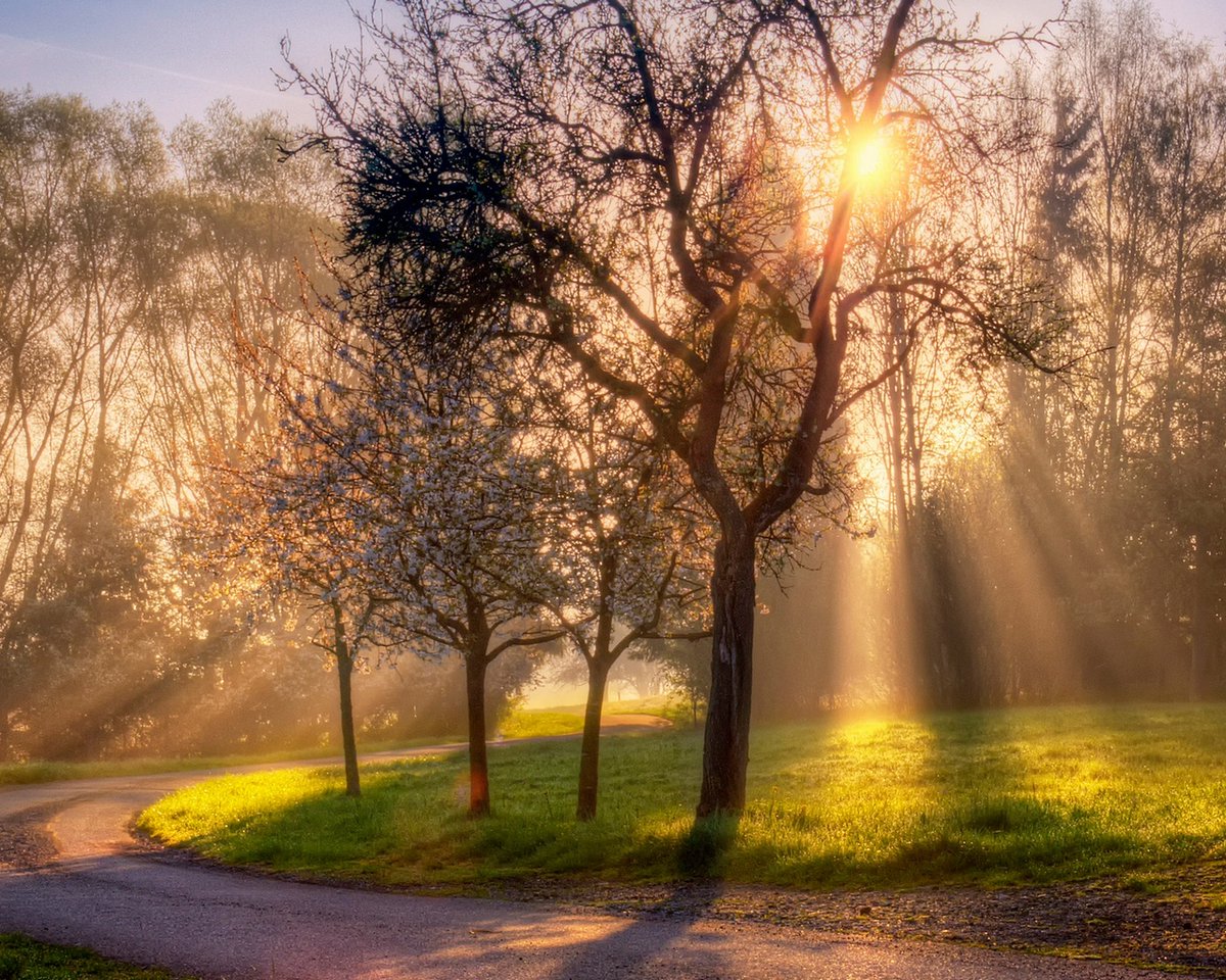 2.stavka (@2_stavka) on Twitter photo 