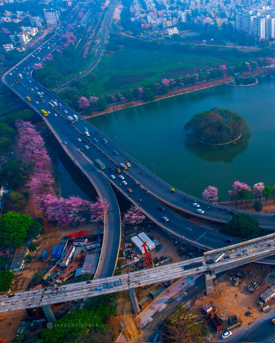 jakeervisuals's tweet photo. Pink Trumpets🌸 of Bengaluru 🩷🩷
___
📍 BenniganahalliLake, Tinfactory
 #pink#cherryblossom #pinktriumph #cherryblossoms #springsummer #springflowers #springbengaluru #nammabengaluru #bengaluru#nammakarnataka #karnataka #karnatakaworld  #IncredibleIndia #pinkbengaluru https://t.co/BKRcvrgssA