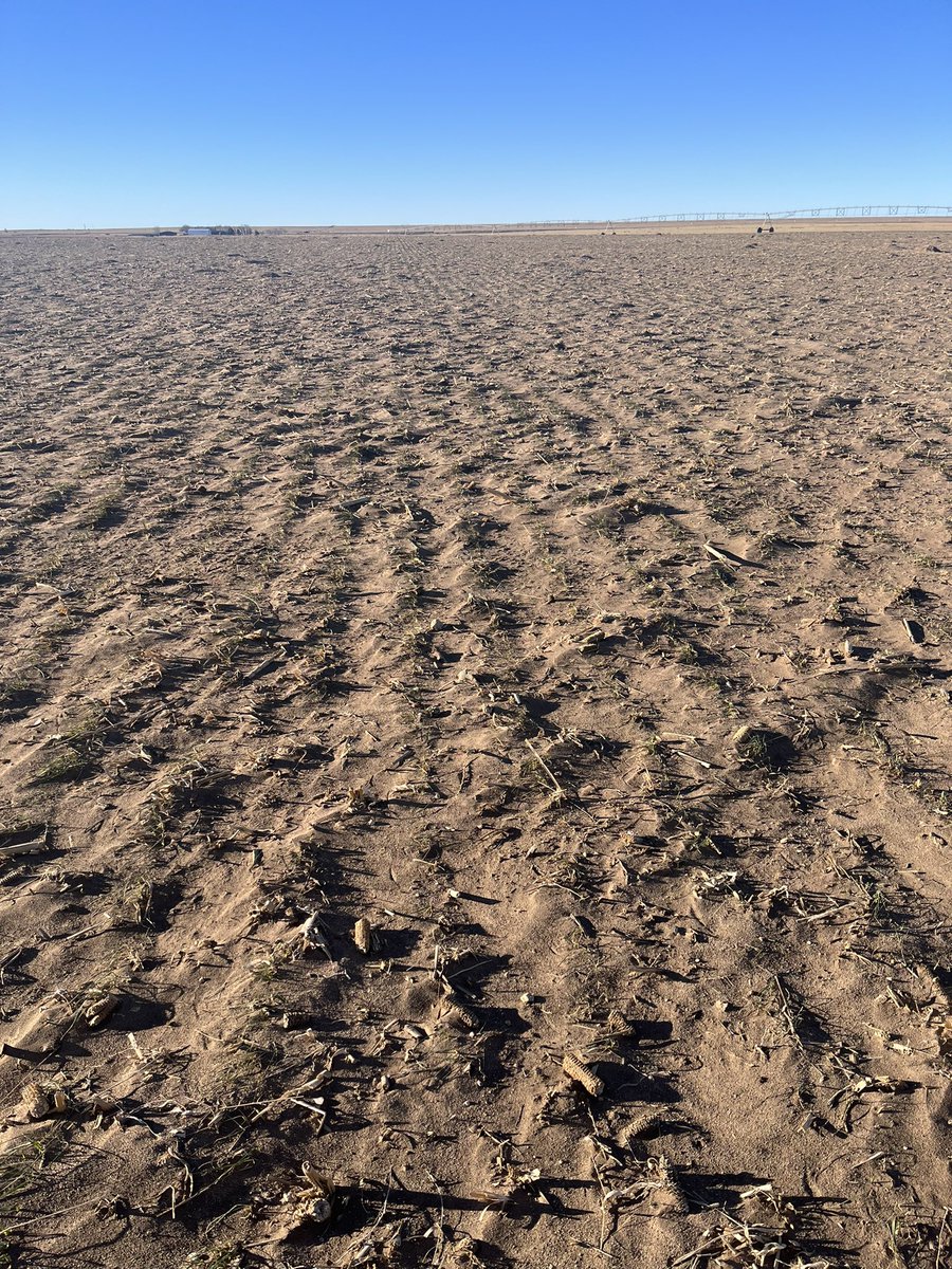 Matt Baxa tweet media