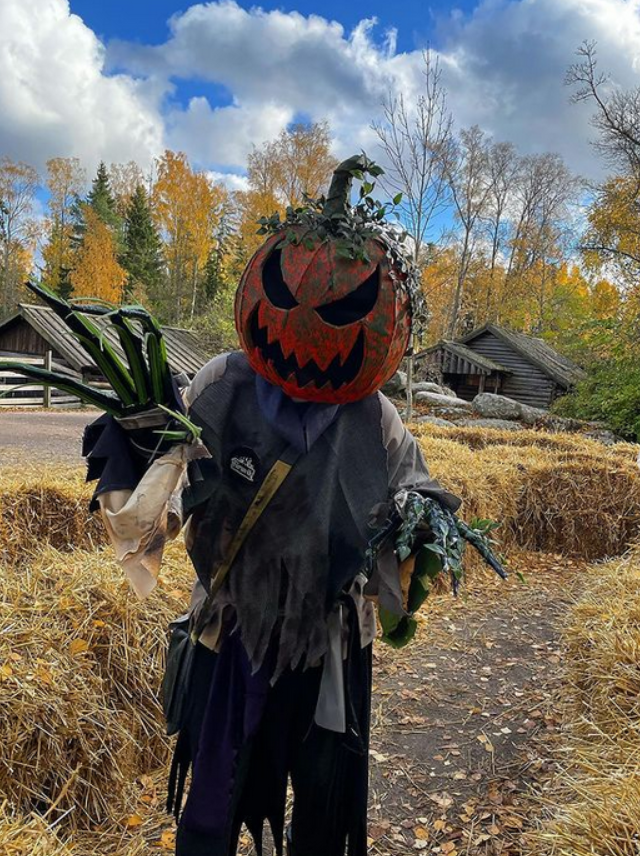 Troycosback's tweet photo. I frigging love Jackie 'O, the pumpkin monster oc of mine :D
#monstercostume #pumpkinmonster #pumpkin #halloweenallyeararound #pumpkinoc #pumpkincharacter https://t.co/IiHBcJV4xE
