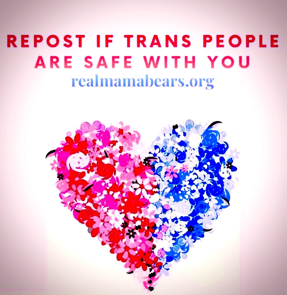 DanaStorms's tweet photo. #TransDayofVisability 🏳️‍⚧️ #TransRightsAreHumanRights 
🩵🩷🤍🩷🩵 https://t.co/UpSsULdV81