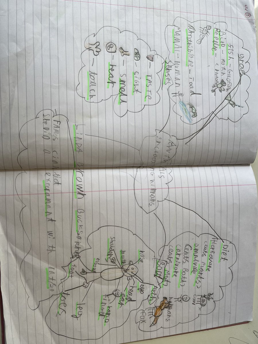 Class3_stmarys's tweet photo. Some amazing consolidation from class 3 in our Science topic Animals including Humans showing St Mary’s SPIRIT of independent learning. https://t.co/CqOxb0QREL