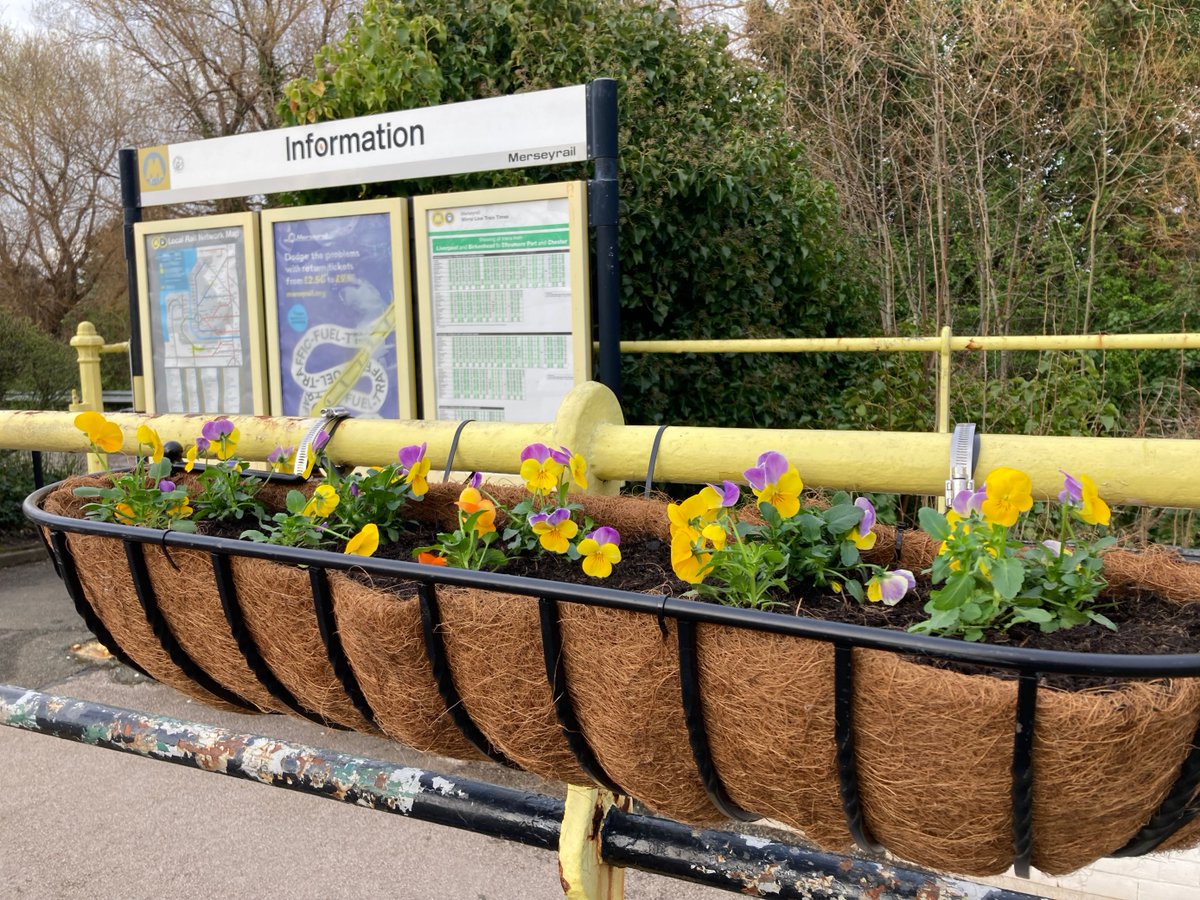 SustransNorth's tweet photo. Creating better streets starts with the community, so we were excited to help @LoveBebington with the adoption of #BebingtonStation 🌻

The 4 schools we're working with are currently making art to go on the banners so keep an eye out for more colourful additions!

#ByOurs https://t.co/fZ9nisI1gB