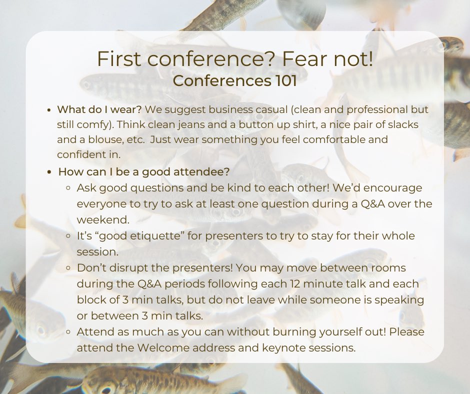 PEEC 2024 tweet media