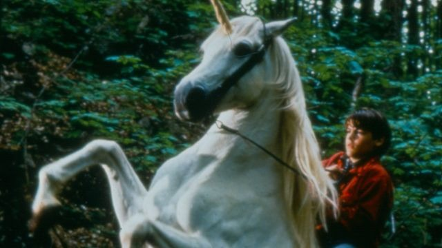 N0_more_names's tweet photo. @Uniswap Nico the Unicorn. As real as it gets. https://t.co/F9KxAPVZyZ