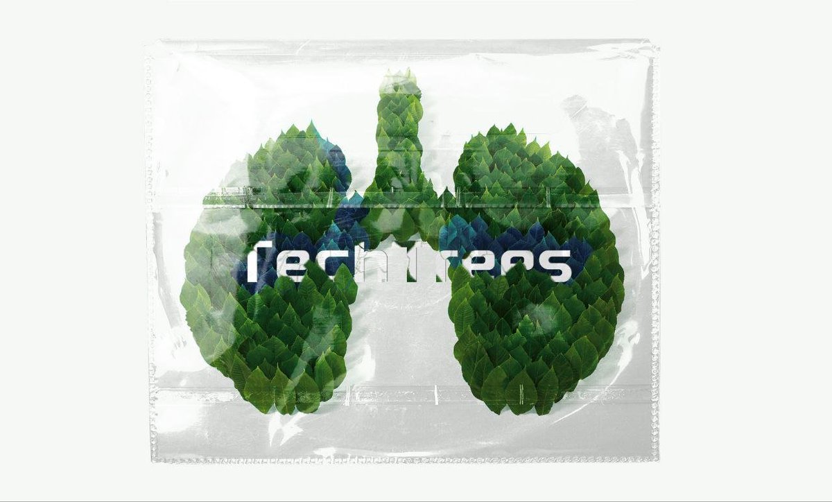 “Every part of the world will be green if every heart of the human is green, so for your next generation to grow tall like trees plant more of them.”

#TechTrees $TTC