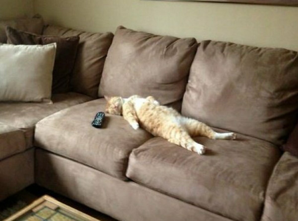 chda7777's tweet photo. Me this weekend ๐ด๐ฅด๐
#WhatAWeekItWas #TGIF #FinallyWeekend https://t.co/3qmteB7kej
