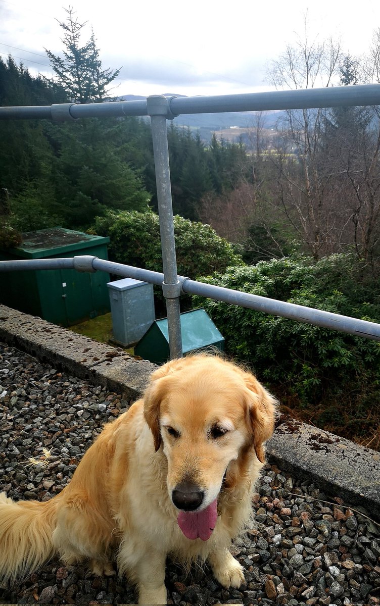First walk to the water tank this year.  #kilmun #argyll #cowal
