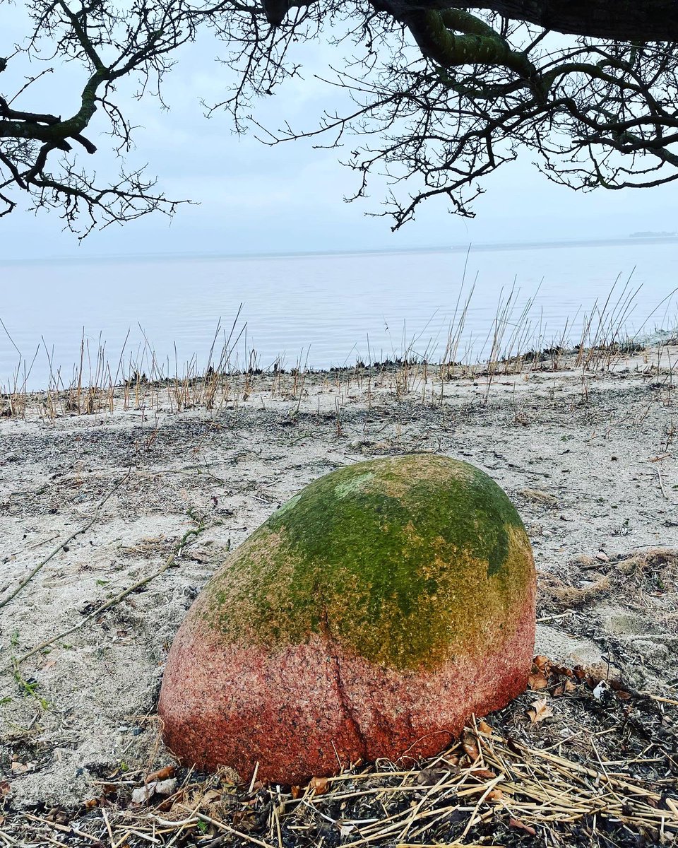 solviwarhaug's tweet photo. #flint #chopping #site #stoneage #ancient #history #longago #denmark #östersjön #ocean #beach #crafts https://t.co/dlxC5nBeND