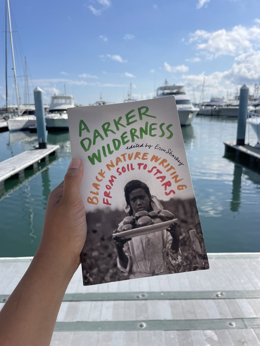 📍Seminole territory