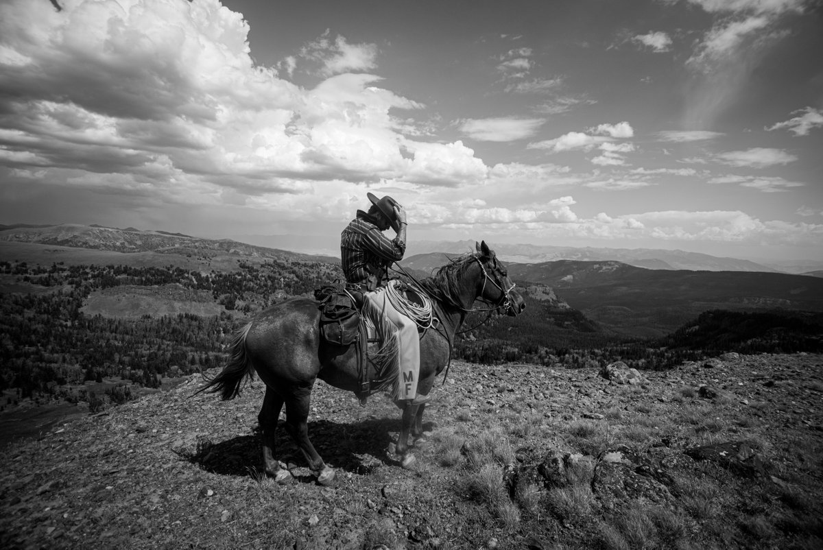 The world needs more we, and less me. Fewer containers and more substance. The world needs more warriors and fewer soldiers.

#grounded
#knowthyself
#thetimeisnow