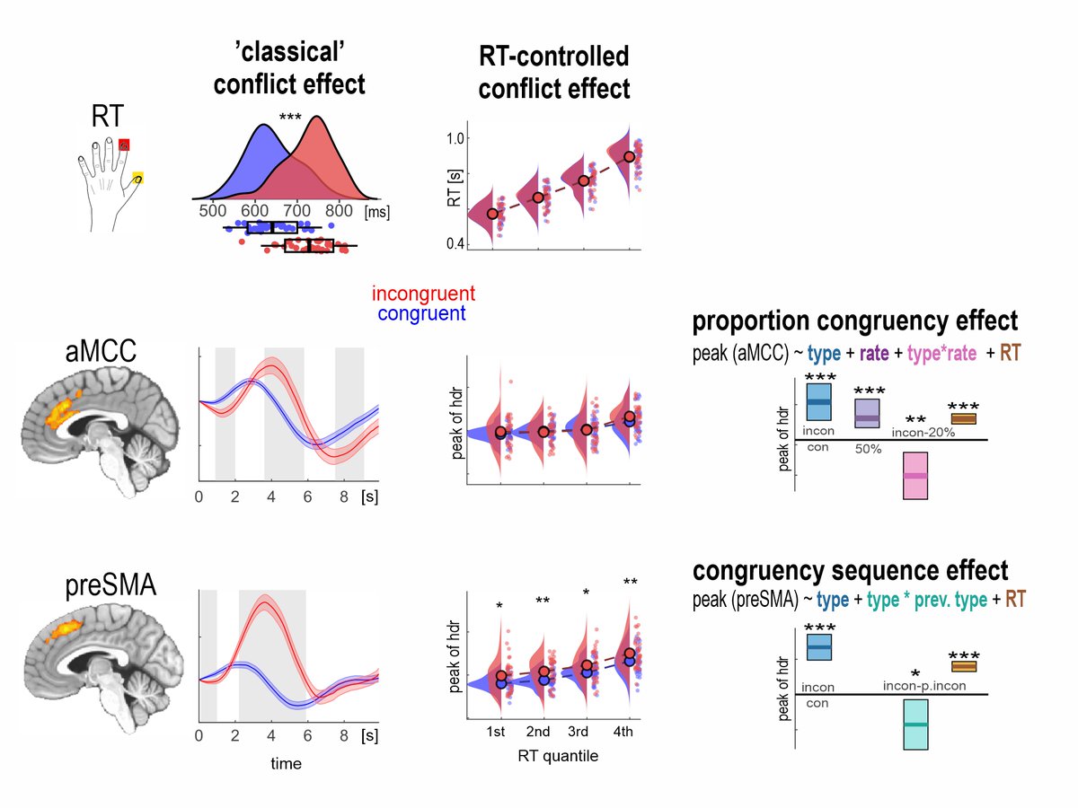 EBeldzik's tweet photo. How much variance in conflict brain signals can be explained purely by RT? Should we regress out RT from EEG and fMRI data in cognitive tasks? Our new results indicate that yes, we should! https://t.co/Qwbte3BVhA https://t.co/xUmFfBg3dA
