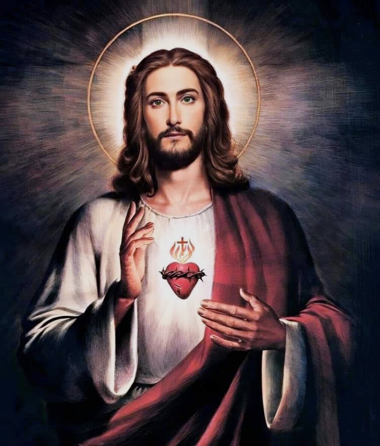 flor_ell879's tweet photo. O Sacred Heart of Jesus
Have mercy on us! 🙏✝️❣️🕊️

#lent #pray #Sarcedheart https://t.co/n9zlXoN0OS