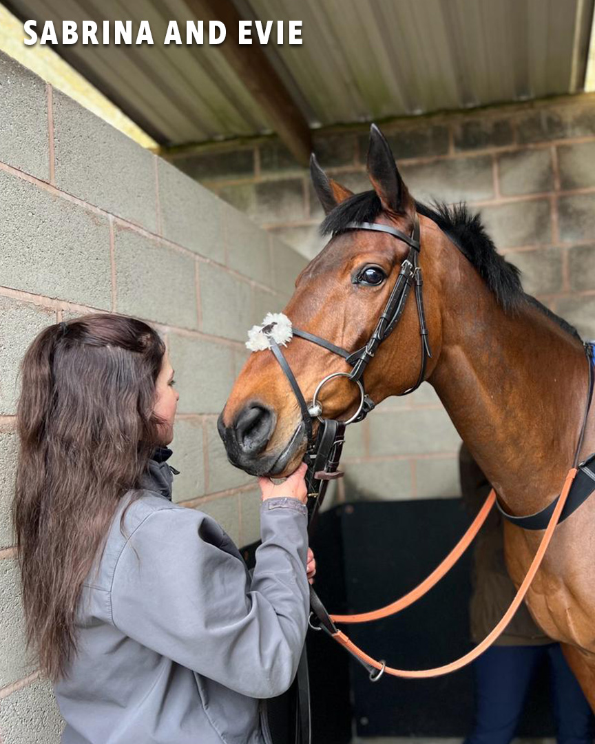 Owners Group on Twitter "All of our Owners Group horses are so