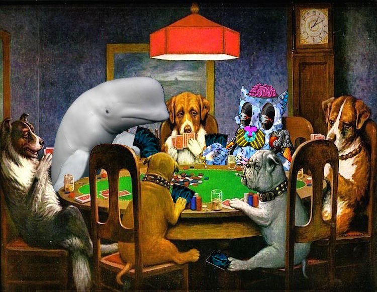 CryptoPittz tweet media