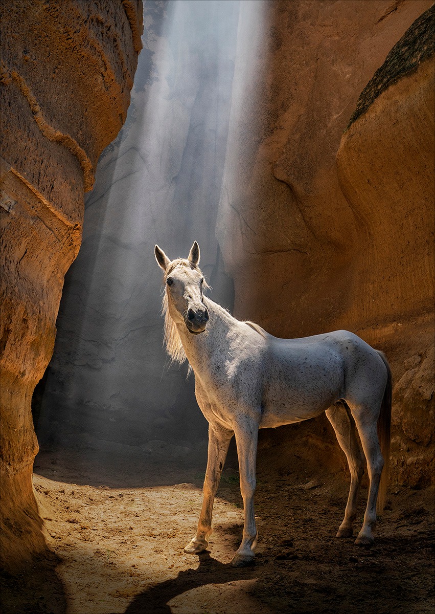 Sat 8 April, Dumfries Camera Club are in Gallery 1 chatting about their work &amp; the Club! A great chance to pick their brains, so bring your camera for advice with your own photography! From 10am-5pm!

The DCC’s Annual Exhibition continues in Gallery 1 &amp; Cafe Gallery till 6 May!