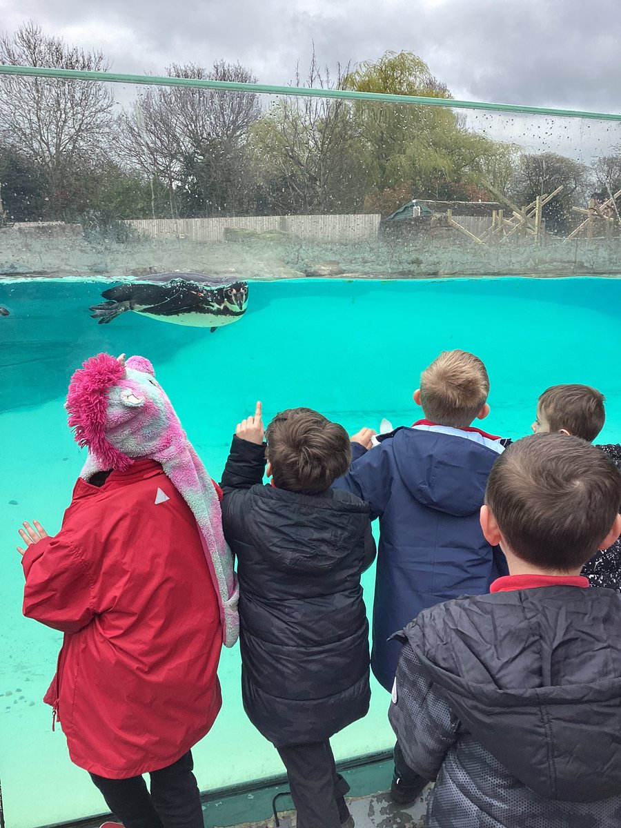 St Saviour's Primary tweet media