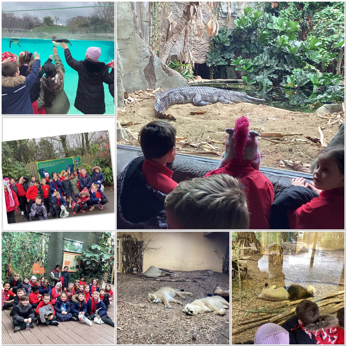 St Saviour's Primary tweet media