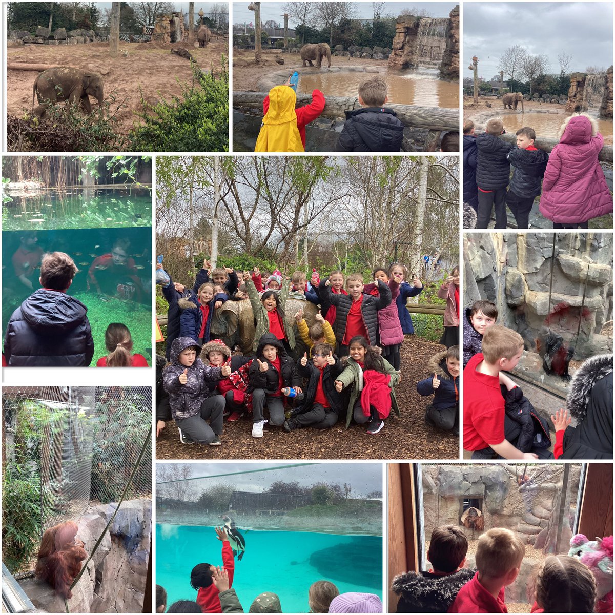 St Saviour's Primary tweet media