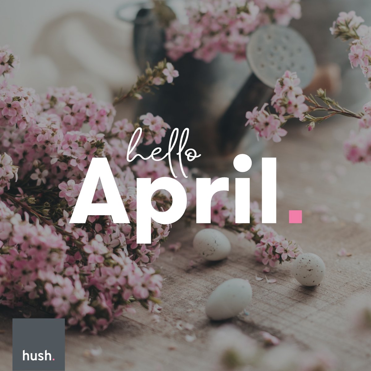 Hush Digital tweet media