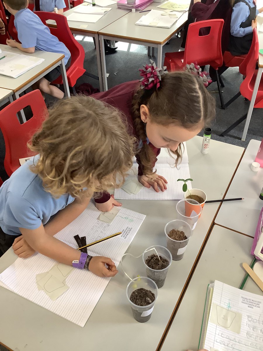 St Charles Catholic Primary Year 2 tweet media